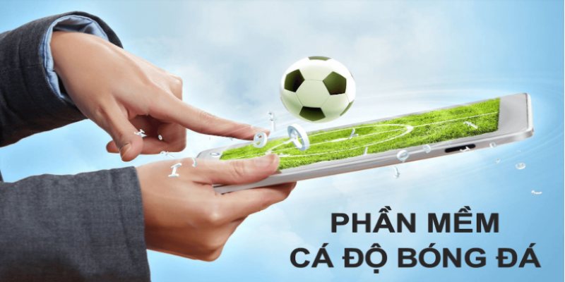 Kinh nghiệm cá cược bóng đá - Lựa chọn nhà cái uy tín